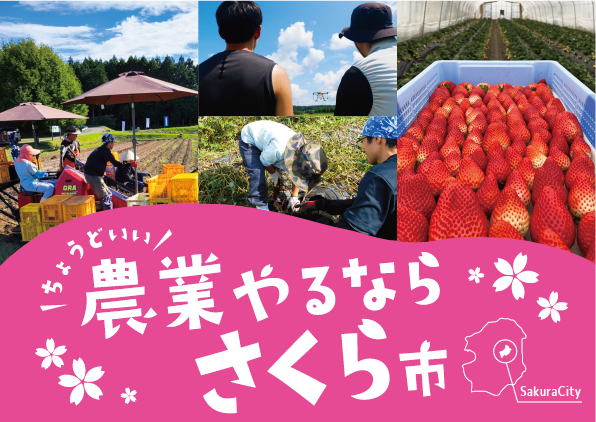 令和７年度さくら市地域おこし協力隊【農業×子育て移住】を募集します！