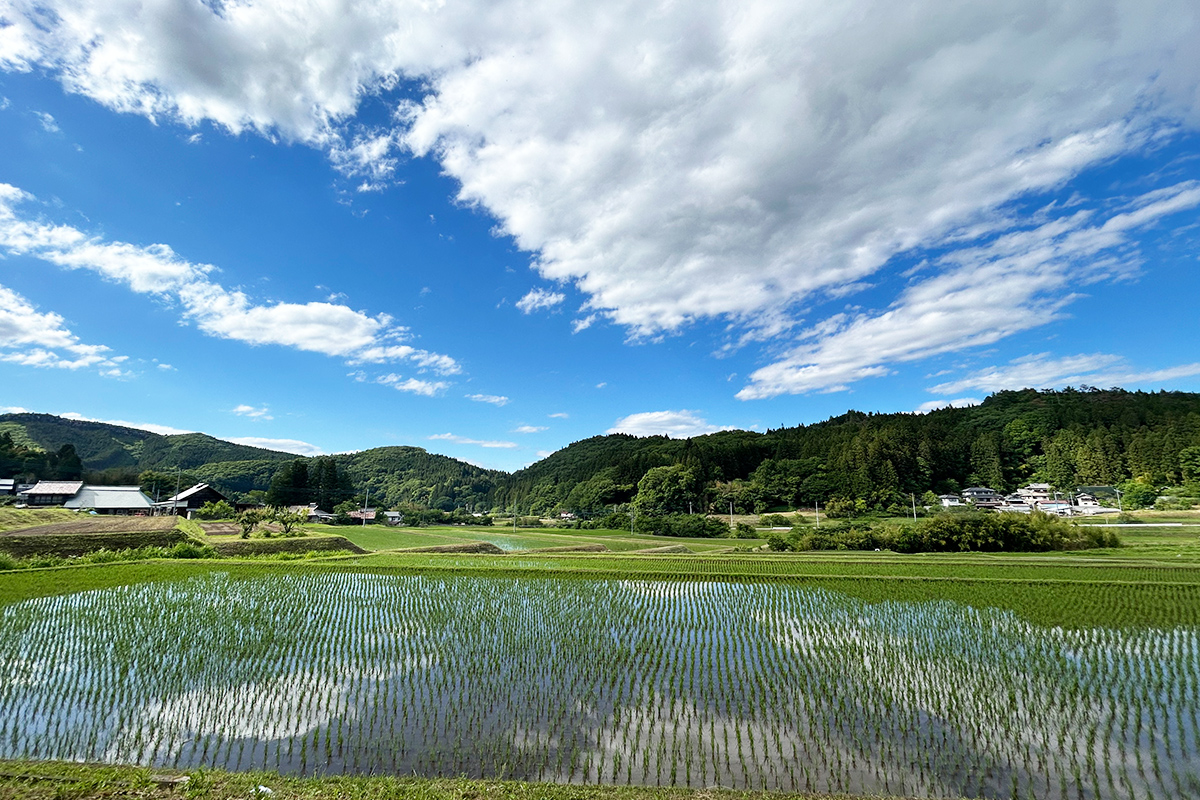 那珂川町の豊かな自然を感じる写真